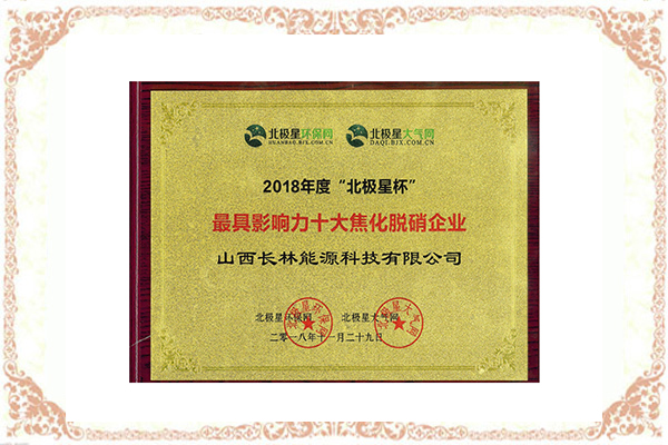 2018 年度十大焦化脫銷企業(yè)